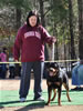 Rottweiler Females Open: 0652 Callie Von Landschaft V3