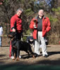 Breeder Class males: 0580 Darkstarrs Coby Dicalabria V1