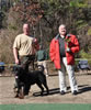 Gebrauchshund males: 0616 Ch Sony Boy Von Der Krischenplatz V1