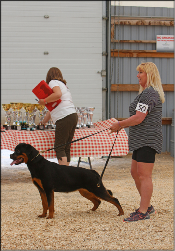 Tehani vom Blaurasen
