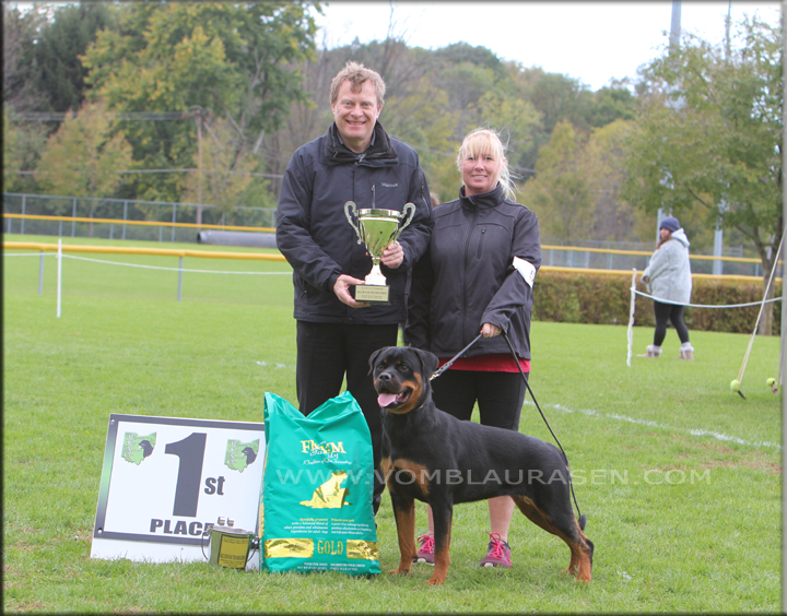 Tehani vom Blaurasen