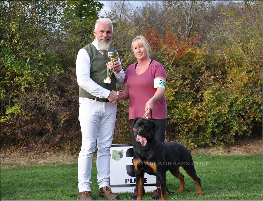 Tehani vom Blaurasen