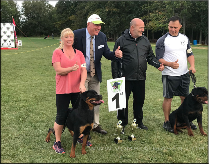 Tehani vom Blaurasen