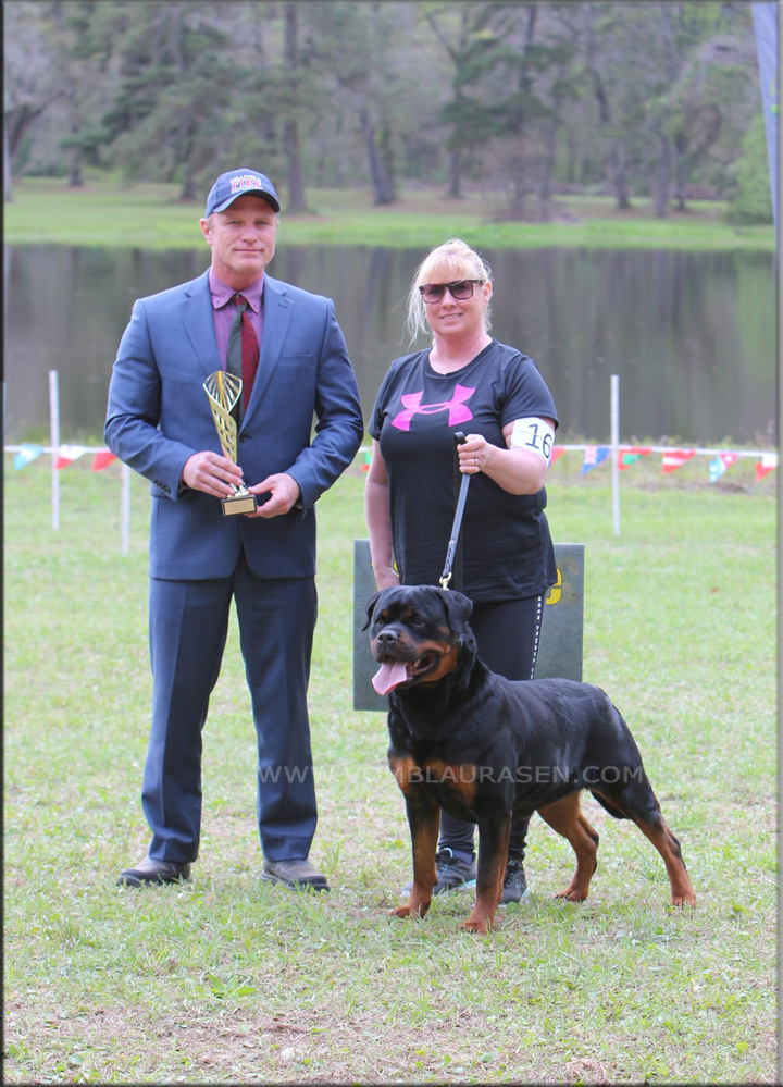 Tehani vom Blaurasen