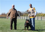 Rottweiler Females Siegerin Class: 0092 Tabea Vom Wilden Westen V1-rated