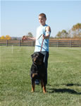 Rottweiler Females Working Class: 0025 Gloria Iron Lion V2-rated