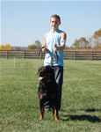 Rottweiler Females Working Class: 0026 Gloria Iron Lion V2-rated