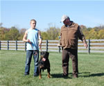 Rottweiler Females Working Class: 0059 Gloria Iron Lion V2-rated