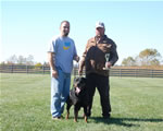 Rottweiler Females Working Class: 0065 Daisy Vom Nettetaler Land V3-rated