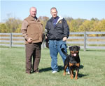 Rottweiler Males Sieger Class: 0183 Quaid Vom Hause Enzian V1 Rated Sieger