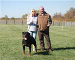 Rottweiler Males Sieger Class: 0189 Quincy Vom Plotzschgrund V2-rated