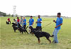 Kennel Class: DSC 0002