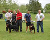 0242 Natl Sieger Lakesides Quest And Natl Siegerin Drybruckes Alysheba