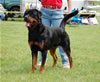 0407 King Dar Von Evman SG2