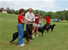 0178 Djuke Vom Vilstaler Land Stud Dog Class