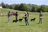 0184 4-6mth Females