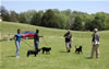 0185 4-6mth Females