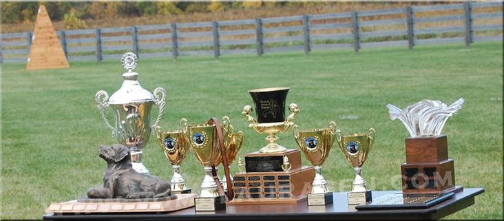 USRC National Schutzhund Championship 2008 show photo's