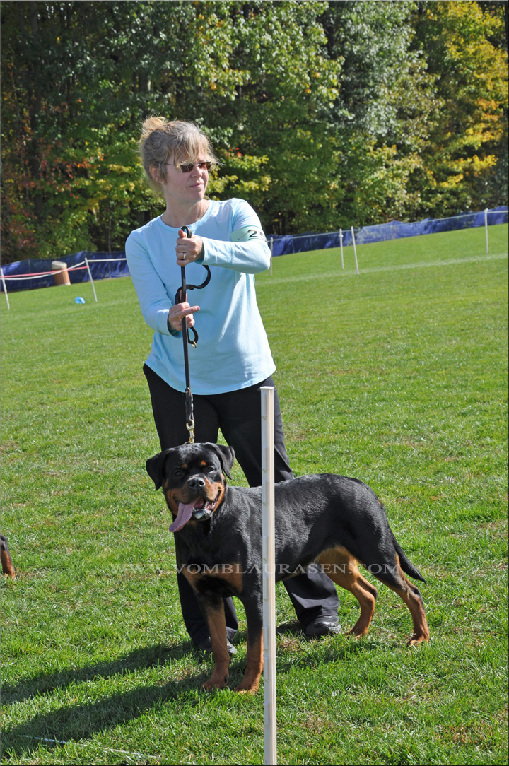 Winnie vom Blaurasen