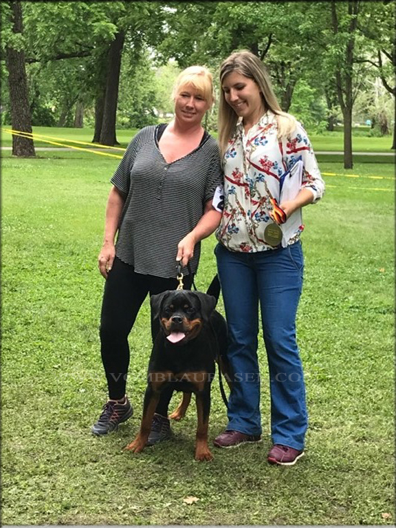 Winnie vom Blaurasen