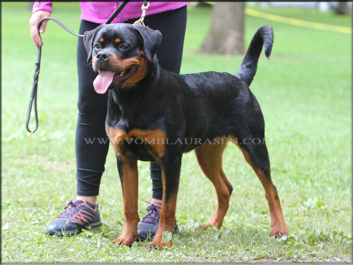 Winnie vom Blaurasen