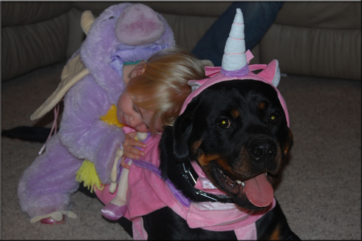 PANZER VOM BLAURASEN