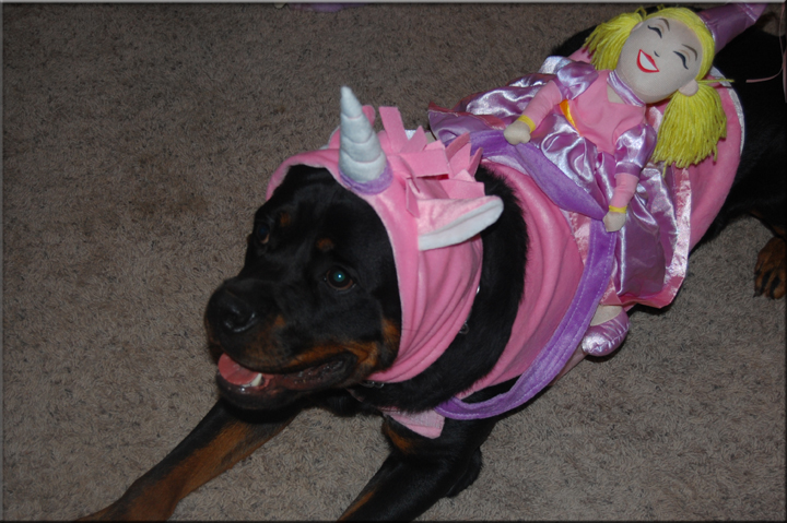 PANZER VOM BLAURASEN