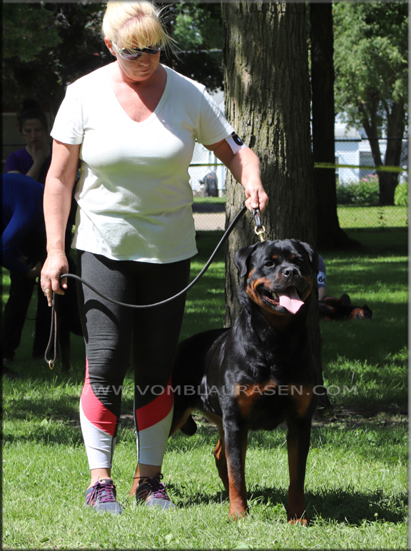 Tehani vom Blaurasen